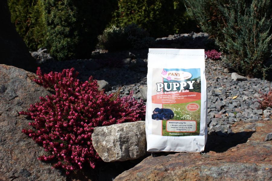 Puppy Midi Geflügel & Reis - 2,0 Kg